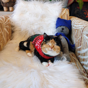Picture for category Winter Products